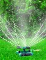 Lawn Irrigation (sprinkler + hose pipe) - Image 2